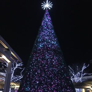 Meet your Posher, Marcy